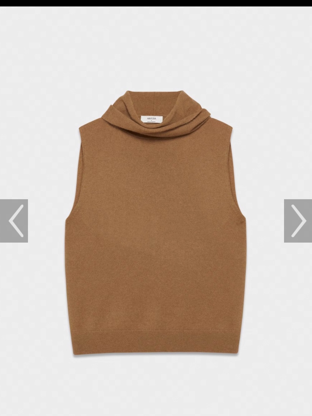 Aritzia Bare Cashmere Sleeveless Turtleneck